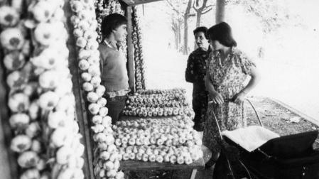 Puesto de ajos en la Plaza de Recoletas en el año 1979
