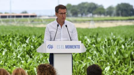 Alberto Núñez Feijóo, en un acto en Lleida