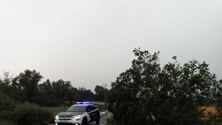 Un árbol tirado por la tormenta cortó la carretera entre Mélida y Santacara