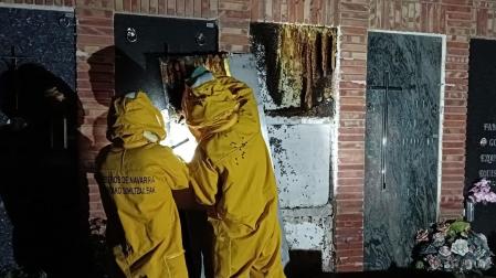 Bomberos de Navarra retiran un enjambre de abejas en el cementerio de Marcilla