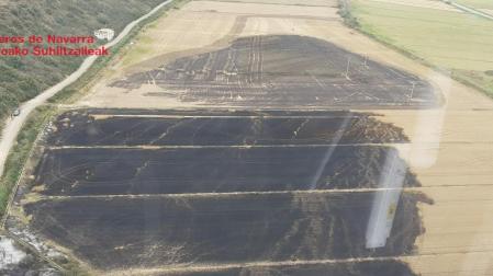 Campo de cereal sin cosechar en la zona de las Teladas de Mélida que ha ardido