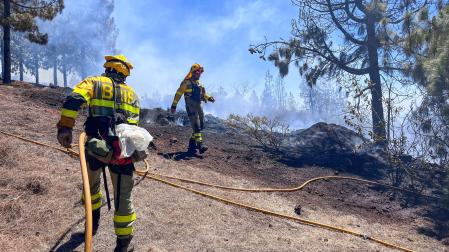 Brigadas de bomberos forestales trabajando en Puntagorda