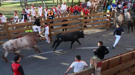 Segundo encierro de las fiestas de Tudela 2023