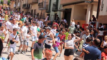 Mucha participación en la trashumancia con ganado manso