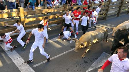 Fotos del sexto encierro de fiestas de Tudela 2023.
