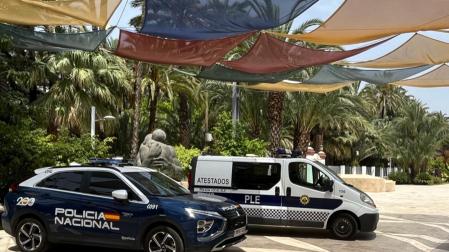 Vehículos policiales en Elche