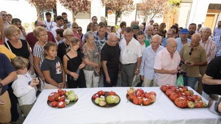 El público contempla distintos ejemplares presentados a la pasada edición del concurso del Tomate Feo de Tudela