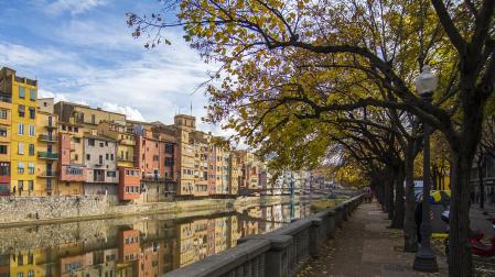 Paseo con árboles en Girona