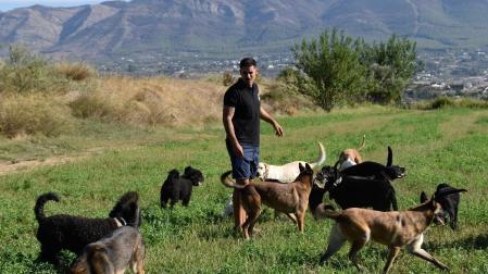 El educador canino Adrián Navarro pasea junto a los perros de su centro Lopecan por Cártama