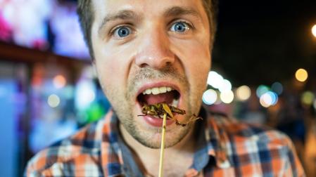 El aumento del consumo de insectos se debe, principalmente, a sus propiedades alimenticias ya que son ricos en proteínas, vitaminas (especialmente del grupo B) y minerales como sodio, potasio, fósforo y calcio