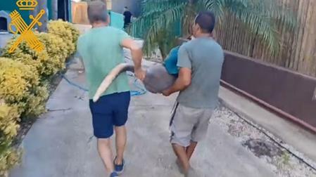 Localizan a un canguro y rescatan a su cría tras escaparse de un zoológico de Peñíscola
