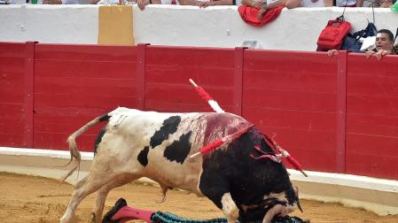 Imágenes de la novillada de las fiestas de Peralta