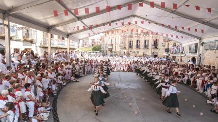 Fotos del día grande de las fiestas de Olite. /