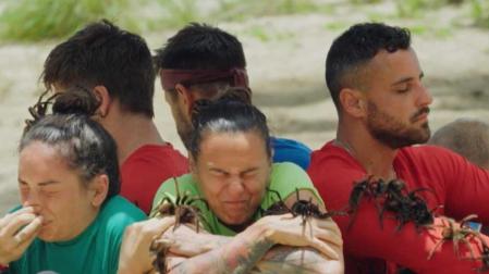 Concursantes en el reallity de aventura 'El conquistador' se enfrentan a una 'lluvia' de catatas, una especie de tarántula araña enorme