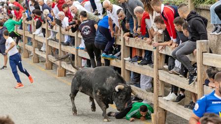 Fotos del sexto y último encierro de las fiestas de Sangüesa.