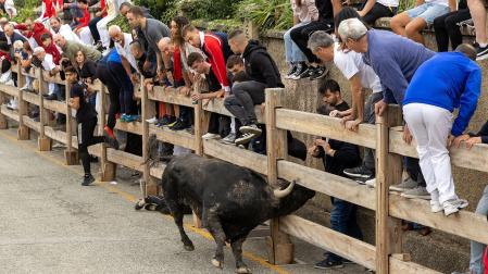 Fotos del sexto y último encierro de las fiestas de Sangüesa.