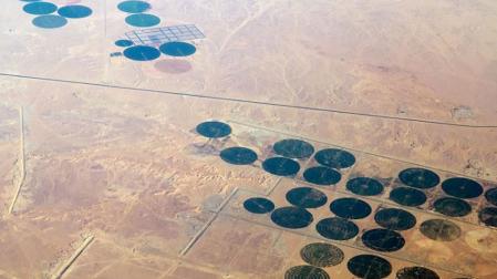 Las tierras áridas, como los desiertos, podrían ser una respuesta al problema de la captura de carbono, según sostiene un grupo de expertos