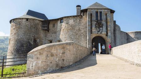 Originarios de Zuberoa, este linaje inició su relación con los reyes de Pamplona y Navarra ya en el siglo IX. Incluso se especula con que Iñigo Arista procedía del condado de Bigorra, donde se habían asentado