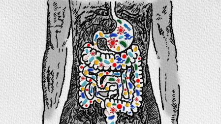 Ilustración del intestino