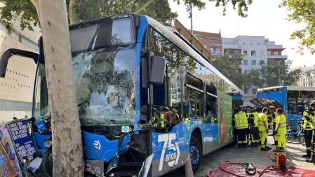 El autobús ha acabado chocando contra un árbol