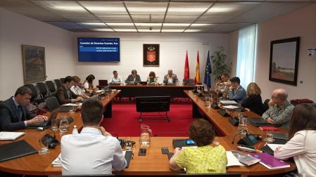 Comparecencia en sesión de trabajo del Parlamento de Navarra, del secretario general de CCOO de Navarra, Chechu Rodríguez, el secretario de Políticas Sociales y Púbicas, Joseba Eceolaza, y el secretario de Acción Sindical y Salud Laboral, Alfredo Sanz