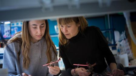 Estudiantes trabajando en un laboratorio