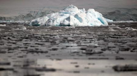 Trozos de hielo flotan cerca de la Bahía Fournier,en la Antártida