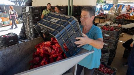 El pimiento del piquillo, como el que en la imagen se disponen a asar, es el producto más demandado de todo el mercado.