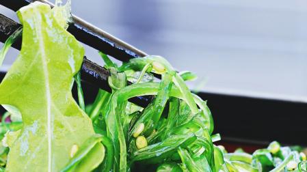 Imagen de una ensalada de algas