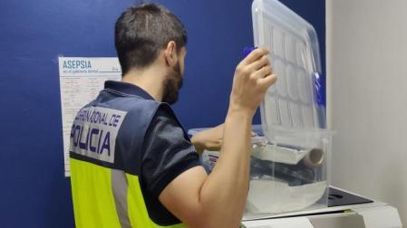 policia-nacional