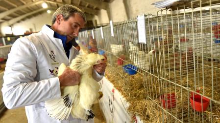 Uno de los participantes con una de las aves durante la feria