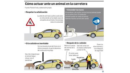 Cómo actuar ante un animal en la carretera