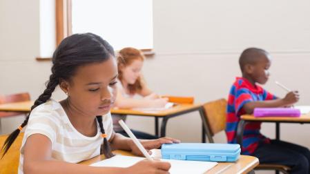 Investigación de Virgolim (2021). Revista Diálogos e Perspectivas en Educación Especial (2023).