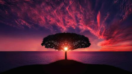 Un atardecer