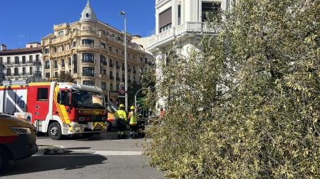 Efectivos de bomberos, junto al árbol caído en Madrid
