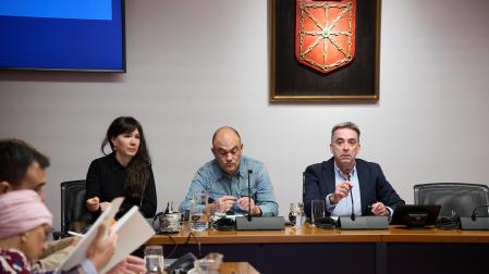 Los representantes del comité de empresa de Siemens-Gamesa formado por José Ángel Hernández (i) y Iosune Pérez(d) y presidida por Miguel Bujanda (d) en el Parlamento de Navarra para explicar la situación de la empresa