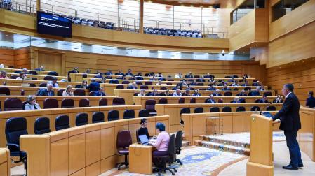 Sesión plenaria en el Senado este miércoles 8 de noviembre