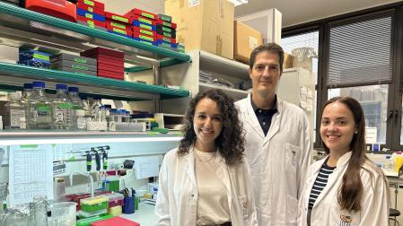 Miembros del equipo investigador del IRB Barcelona
05/10/2023