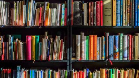 Imagen de archivo de unas estanterías con libros