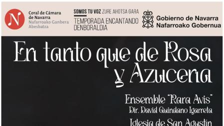 Cartel del concierto.

CORAL DE CÁMARA DE NAVARRA

11/11/2023