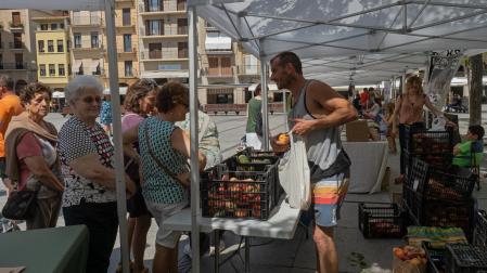 *A:MONTXO A.G.
*F: 2023-07-08
*L: ESTELLA-LIZARRA
*T: MERCADO DE LOS SABADOS DE PRODUCTO LOCAL PLAZARA
*P: