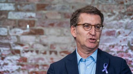 El presidente del PP, Alberto Núñez Feijóo, interviene durante un acto organizado por el PP con motivo del Día Internacional de la Eliminación de la Violencia contra la Mujer