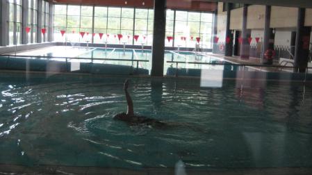 Una persona se ejercita en una de las piletas del complejo deportivo de Zelandi