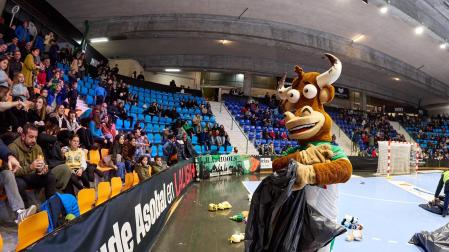 Lluvia de peluches por una causa solidaria en el partido Helvetia Anaitasuna - Benidorm.