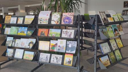 Exposición sobre ilustración de libros infantiles en China en la Biblioteca de Navarra.