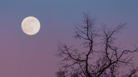 La Luna llena de enero también se conoce como Luna del lobo