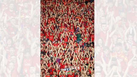 Aficionados de Osasuna en las gradas de La Cartuja de Sevilla en la final de Copa./
