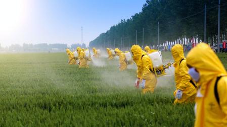 Imagen de archivo de varios trabajadores rociando pesticidas