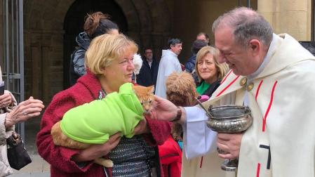 Numerosas personas con sus mascotas han participado este miércoles en la tradicional bendición de animales por la festividad de San Antón en la plaza de San Nicolás de Pamplona