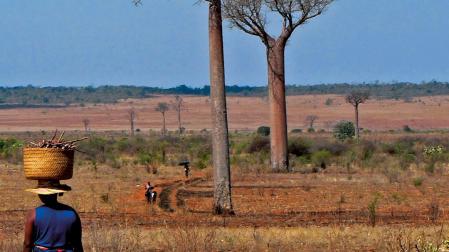 Detalle del cartel de la campaña contra el hambre 2024 de Manos Unidas